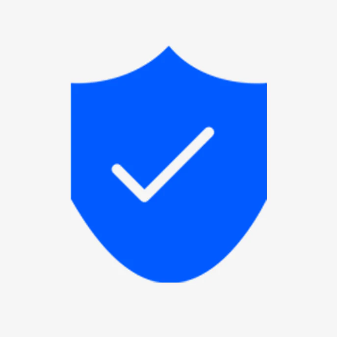 100% Secure Payment